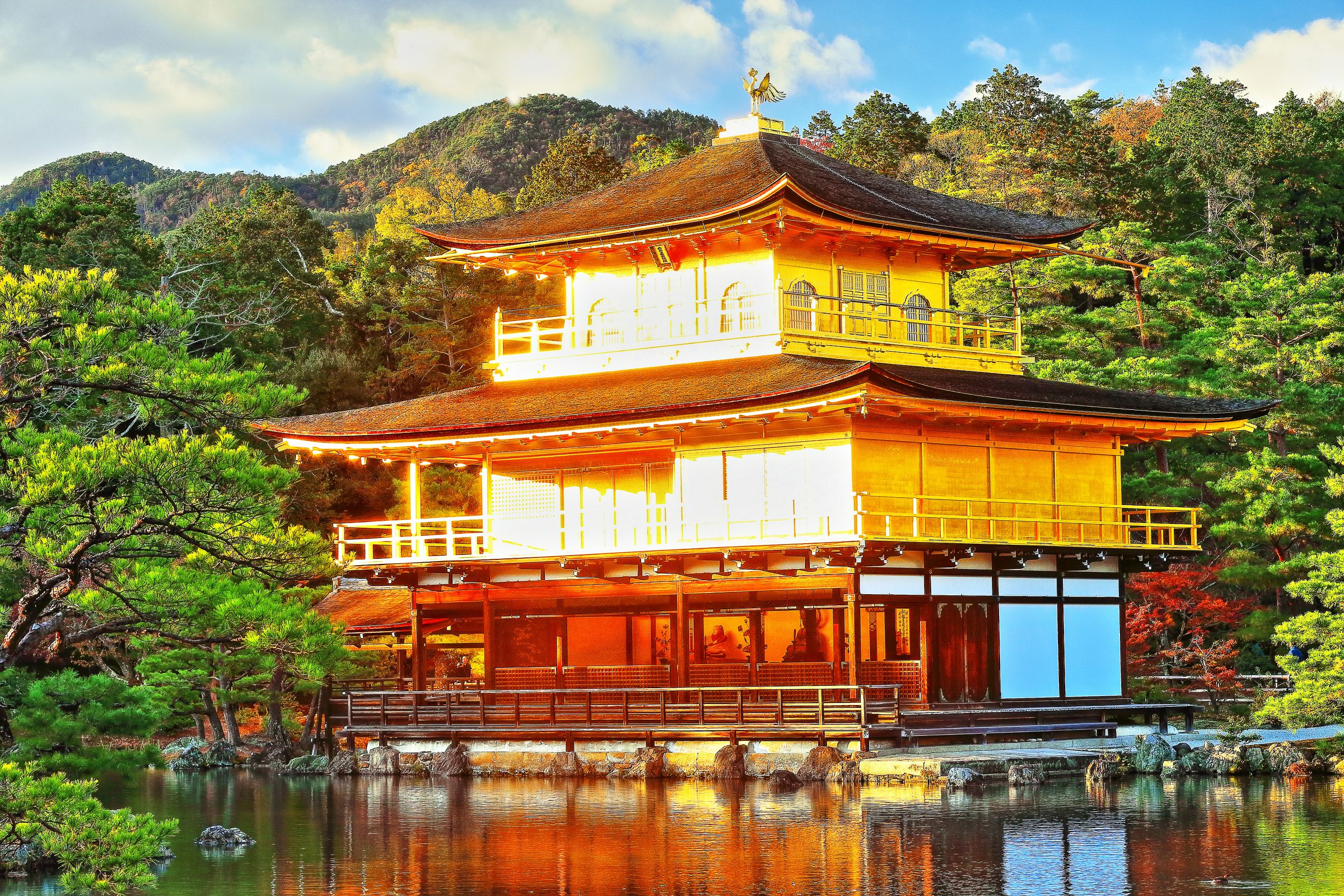 黄金の金閣寺 | GANREF