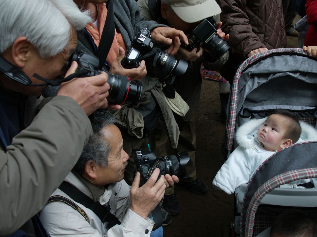 ZUIKO DIGITAL 14-54mm F2.8-3.5で撮影された写真 | 写真検索 | GANREF