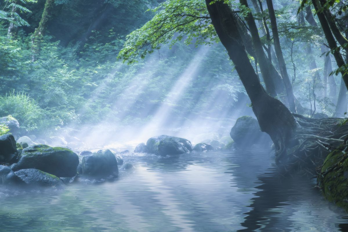 爽快な朝 自然 風景 水辺 Ganref 爽快な朝 自然 風景 水辺 Ganref