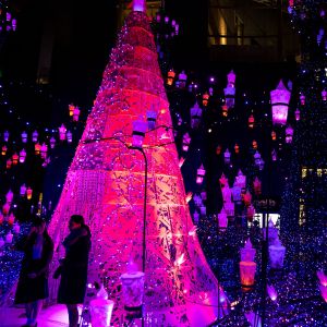 イルミネーションの写真19 お題 の写真をみんなで投稿しよう Ganref