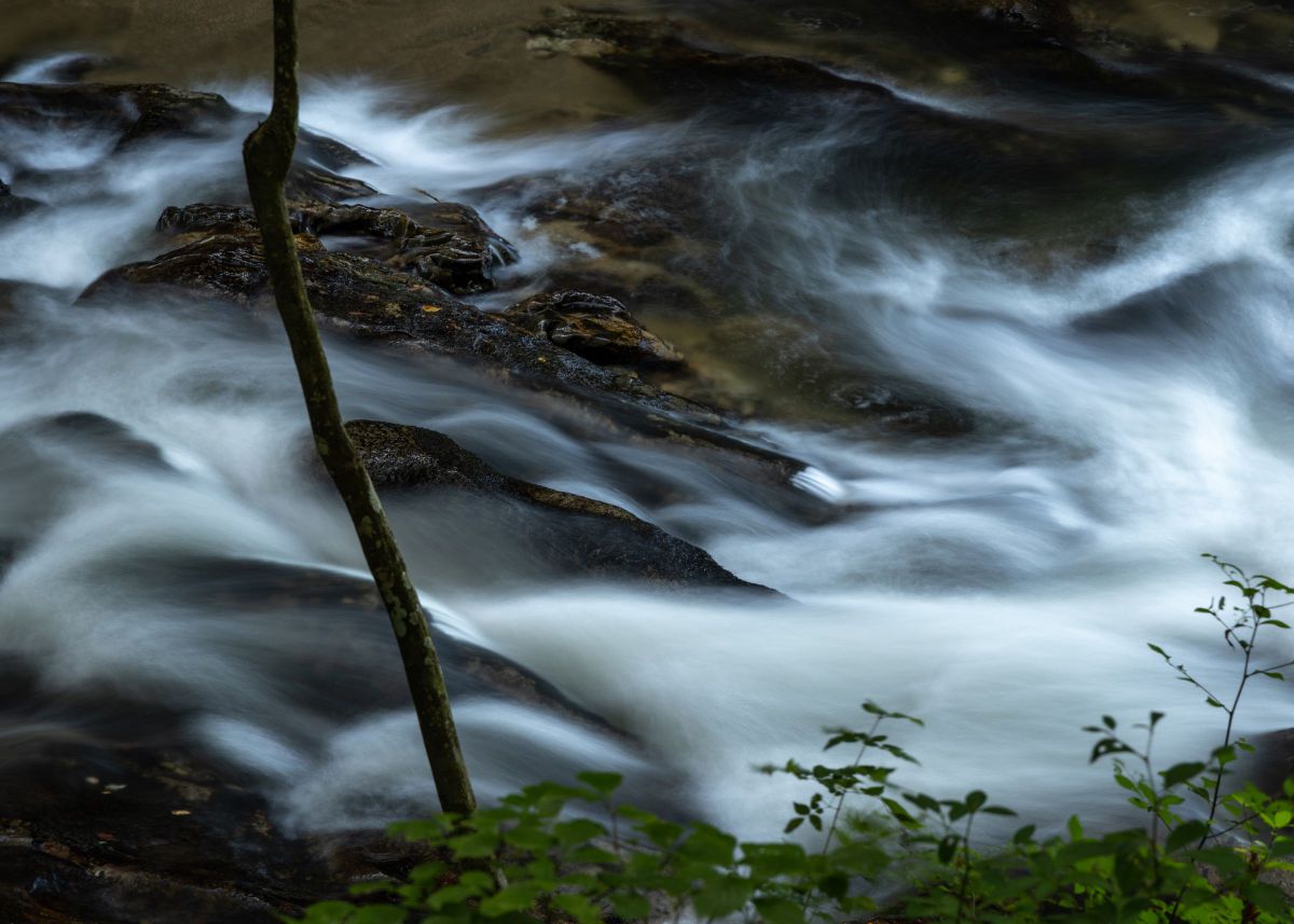 風趣な流れ GANREF