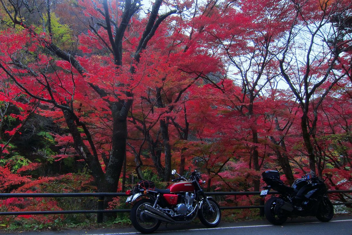 PowerShot S95で撮影された写真 | 写真検索 | GANREF