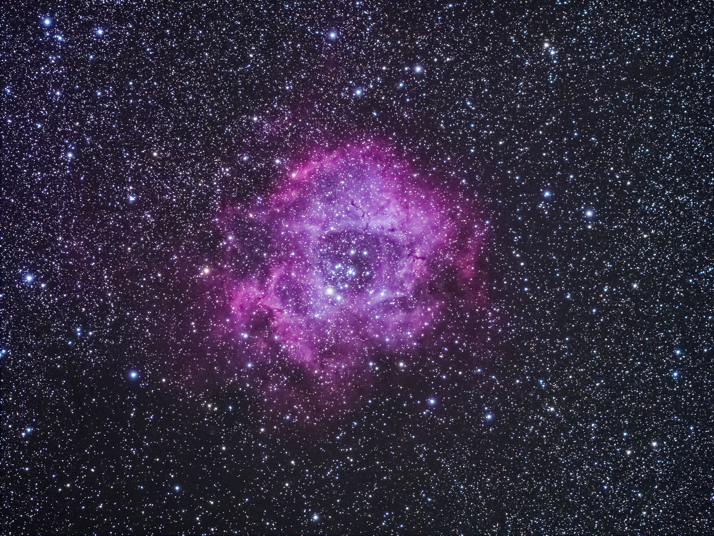 ばら星雲・The Rosette Nebula | GANREF