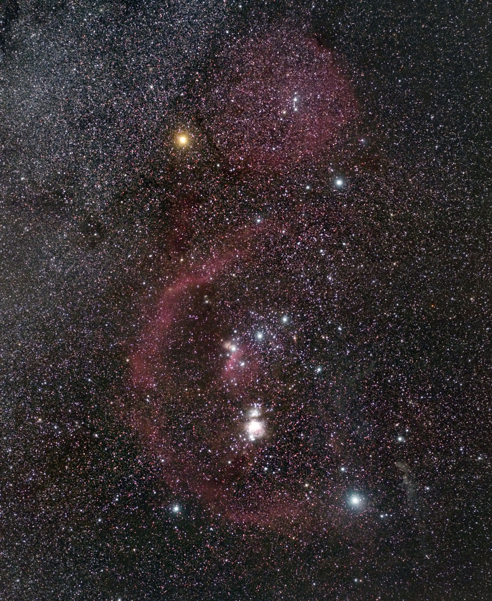 題名　オリオン座 オリオン座 - 冬の星座 - 星空 - Y!きっず図鑑