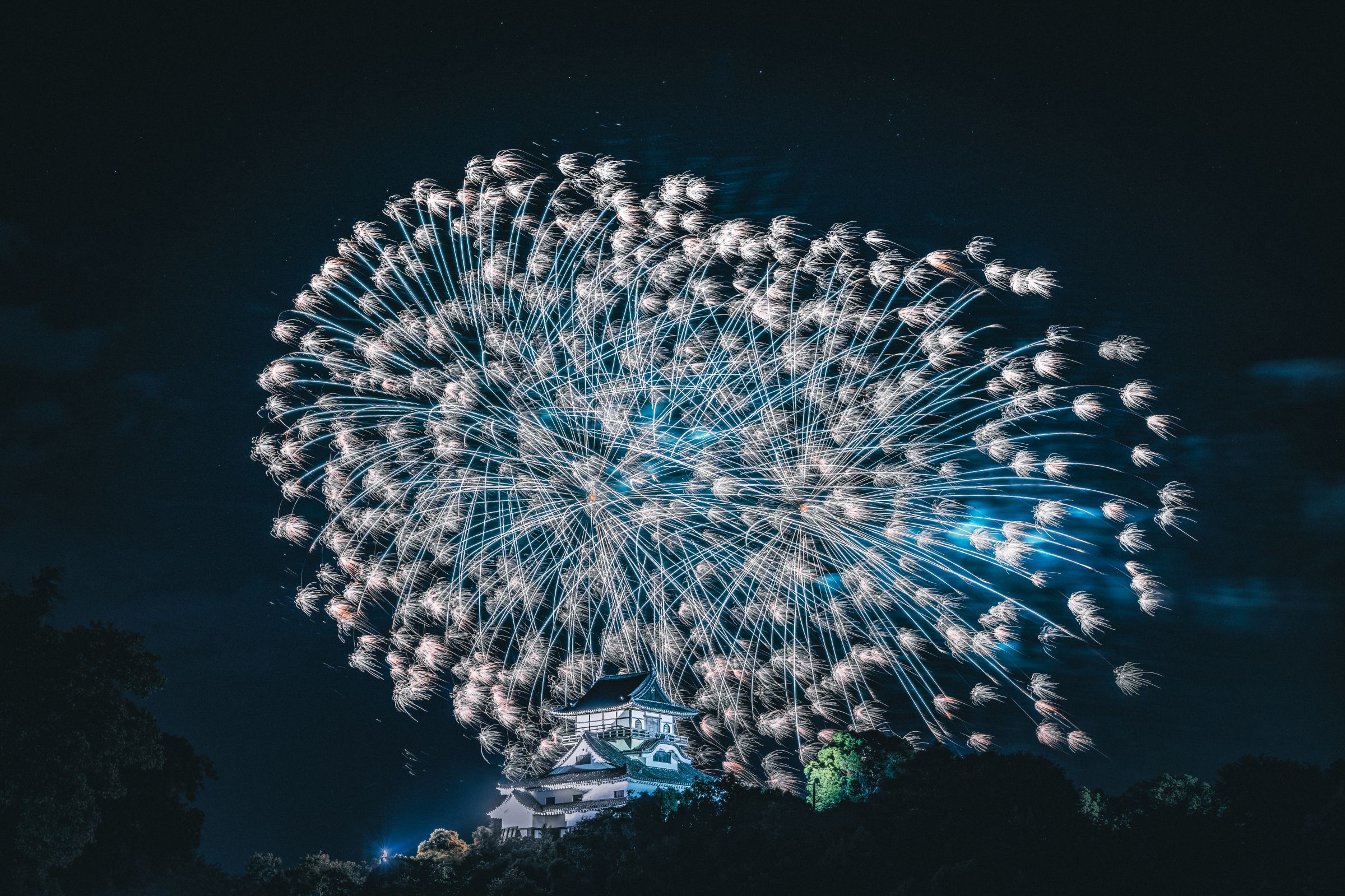 IMG_8483.jpeg | GANREF