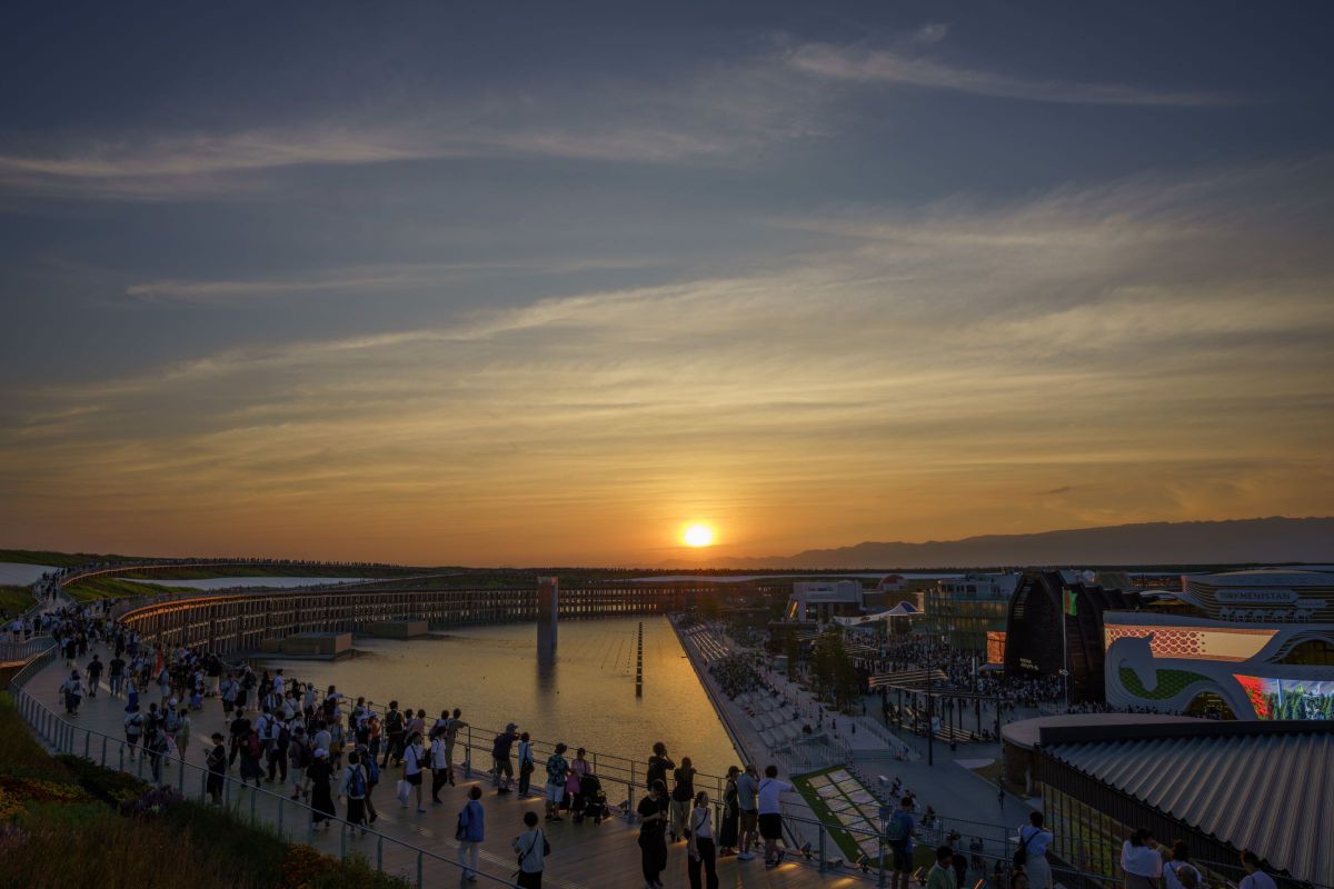 DonkeyKong1337 19日夕方 MDAwMDA3MjI2Mw_MC44Mzg1NTUwMCA