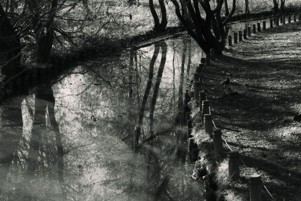 Reflection 20 | GANREF