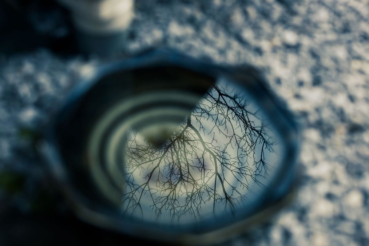 Reflection 5 | GANREF
