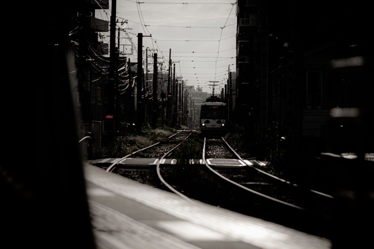 RF85mm F2 MACRO IS STMで撮影された写真 | 写真検索 | GANREF