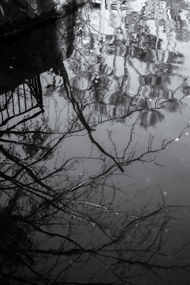 Reflection | GANREF