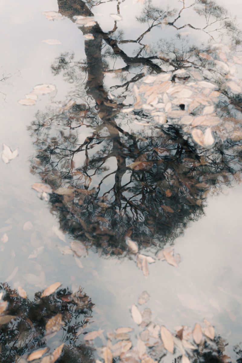 Reflection 3 | GANREF
