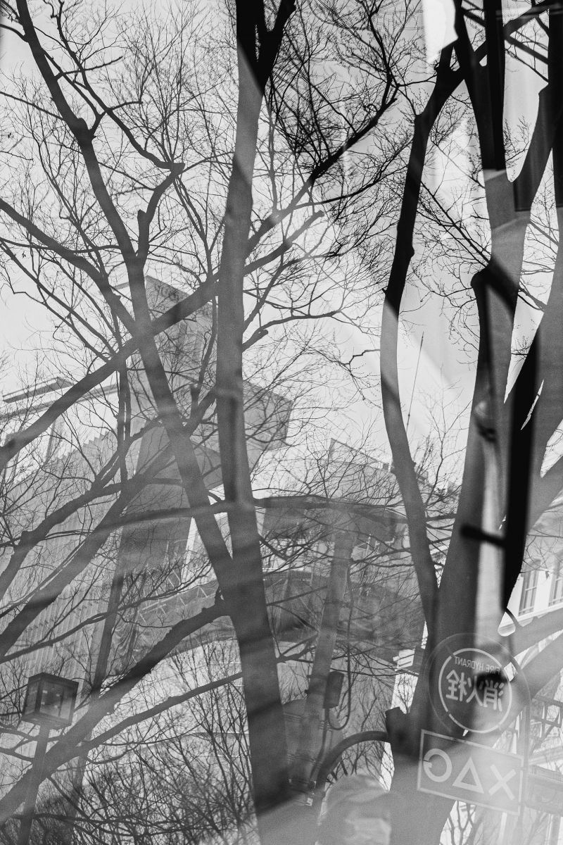 Reflection of the city | GANREF