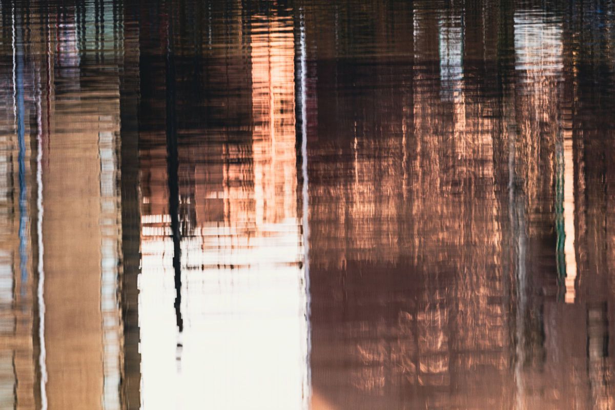 Reflection | GANREF