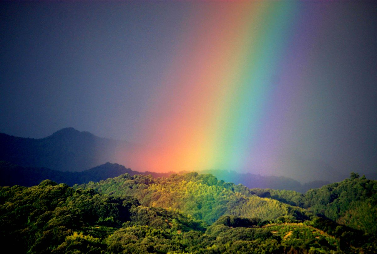 EF-S55-250mm F4-5.6 ISで撮影された写真 | 写真検索 | GANREF