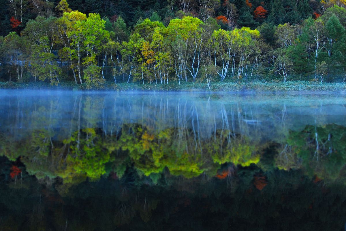 Ai AF Zoom Nikkor 24-120mm F3.5-5.6D（IF）で撮影された写真 | 写真 