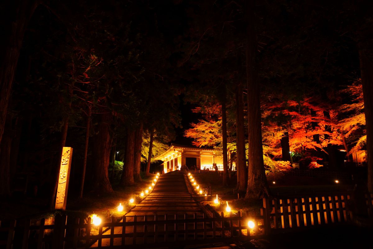 紅葉の金色堂 GANREF