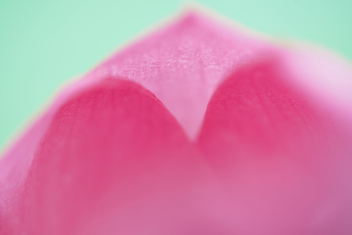 ハート 植物 花 花びら Ganref