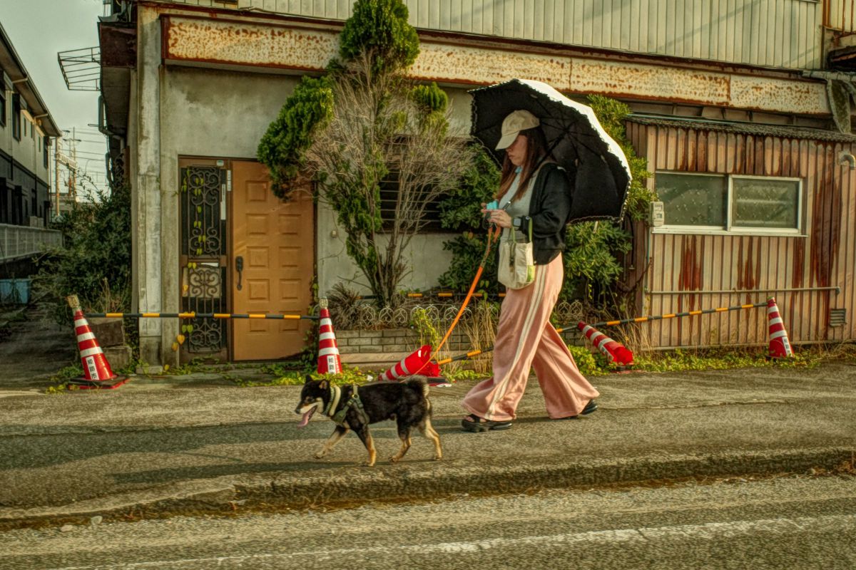 RICOH GR IIIで撮影された写真 | 写真検索 | GANREF