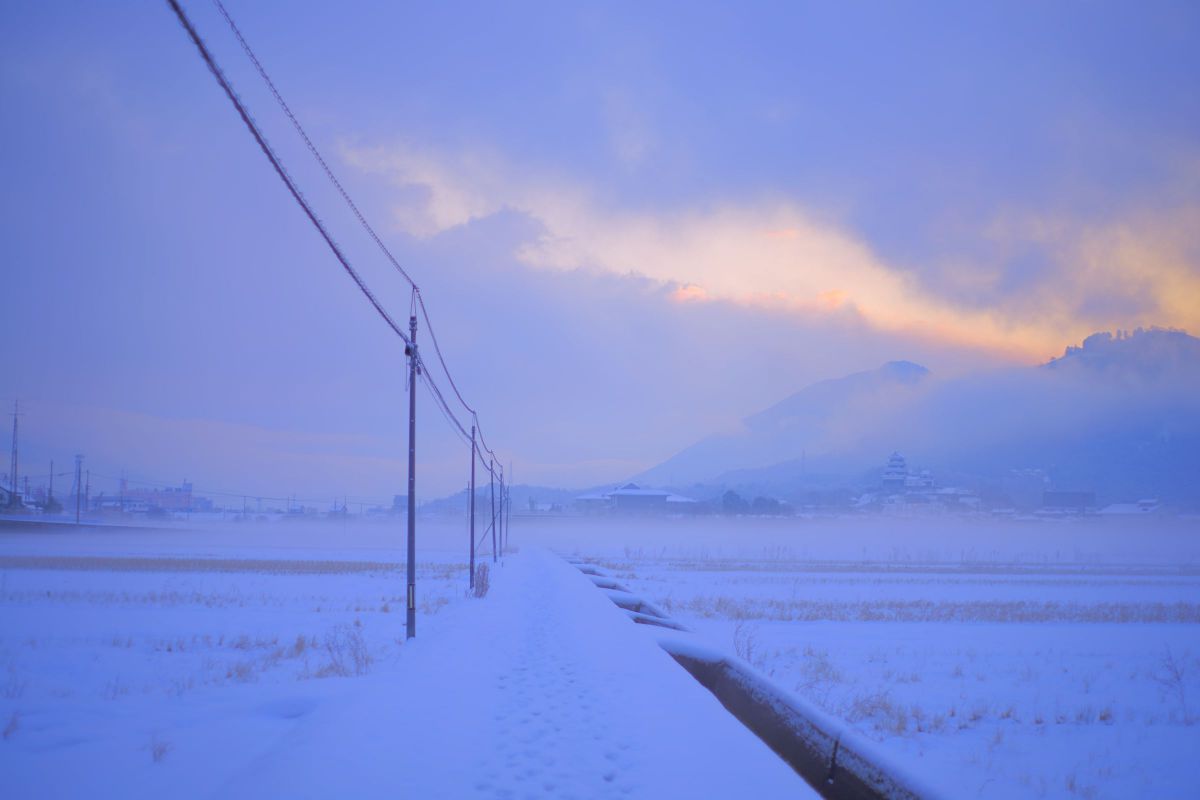 霧雪 | GANREF