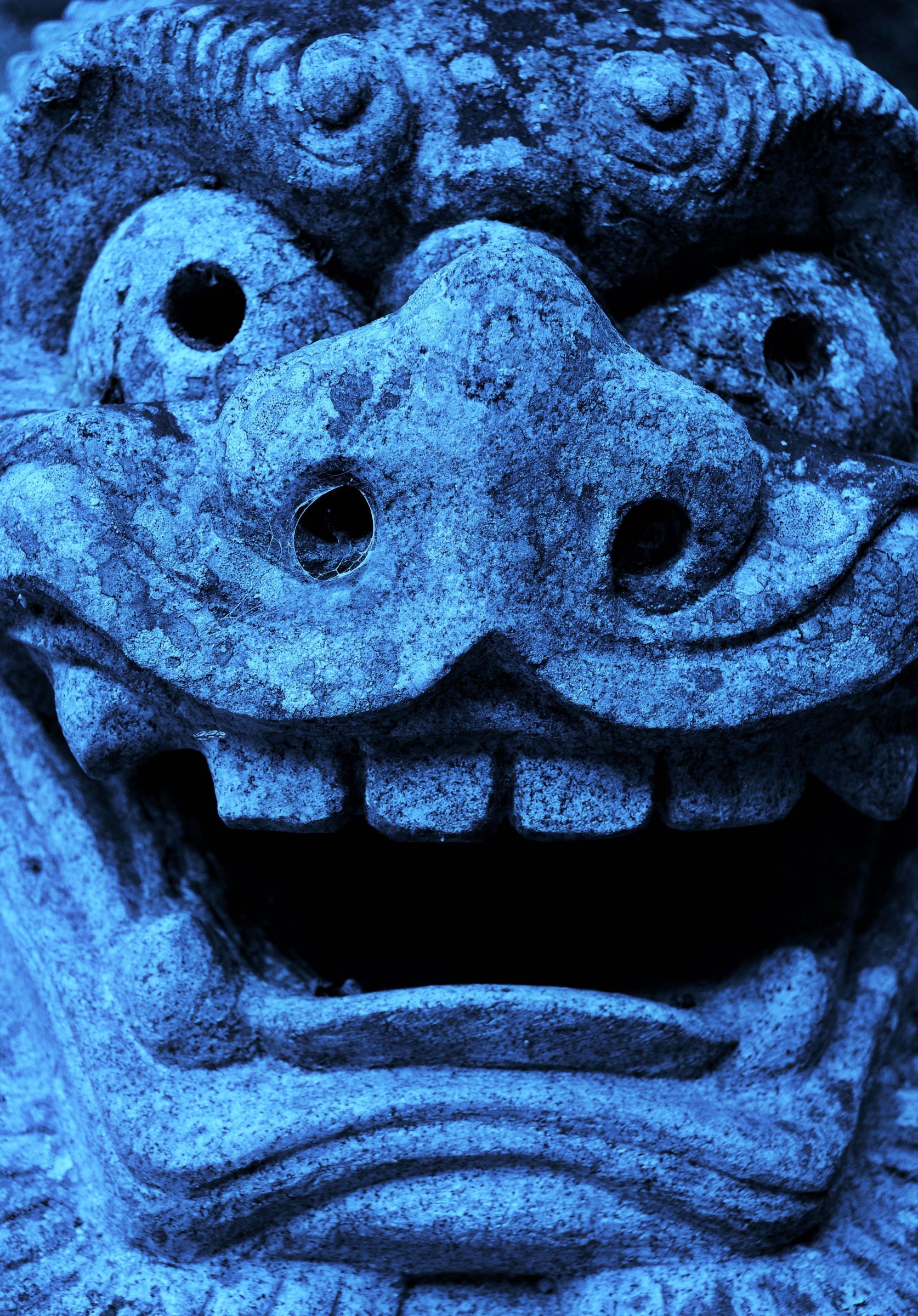 獅子 顔 | GANREF