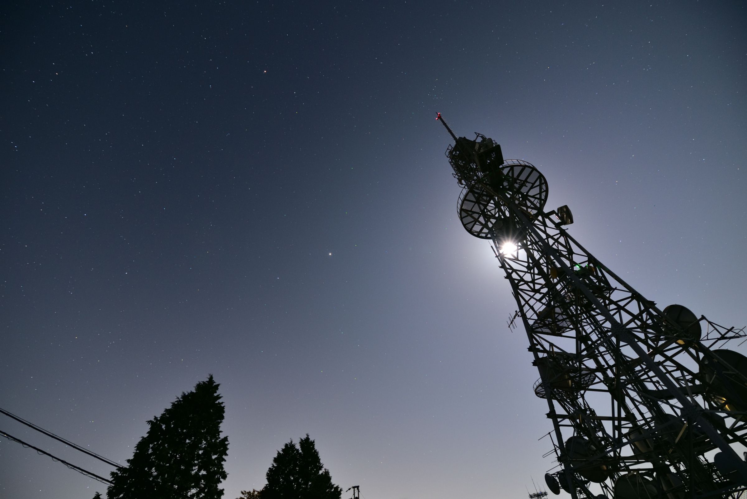 油絵　電波塔 フランツ・ライヒェルト、エッフェル塔から「パラシュート・コート」の