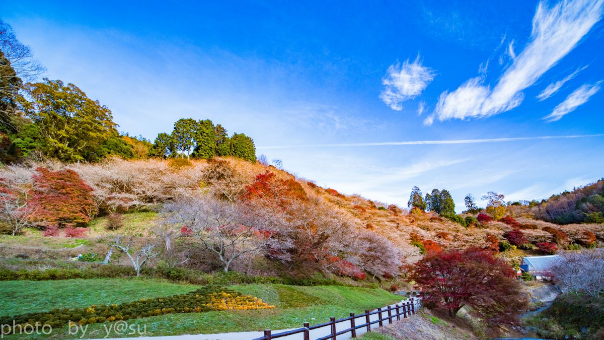 7.5mm F2 MFTで撮影された写真 | 写真検索 | GANREF