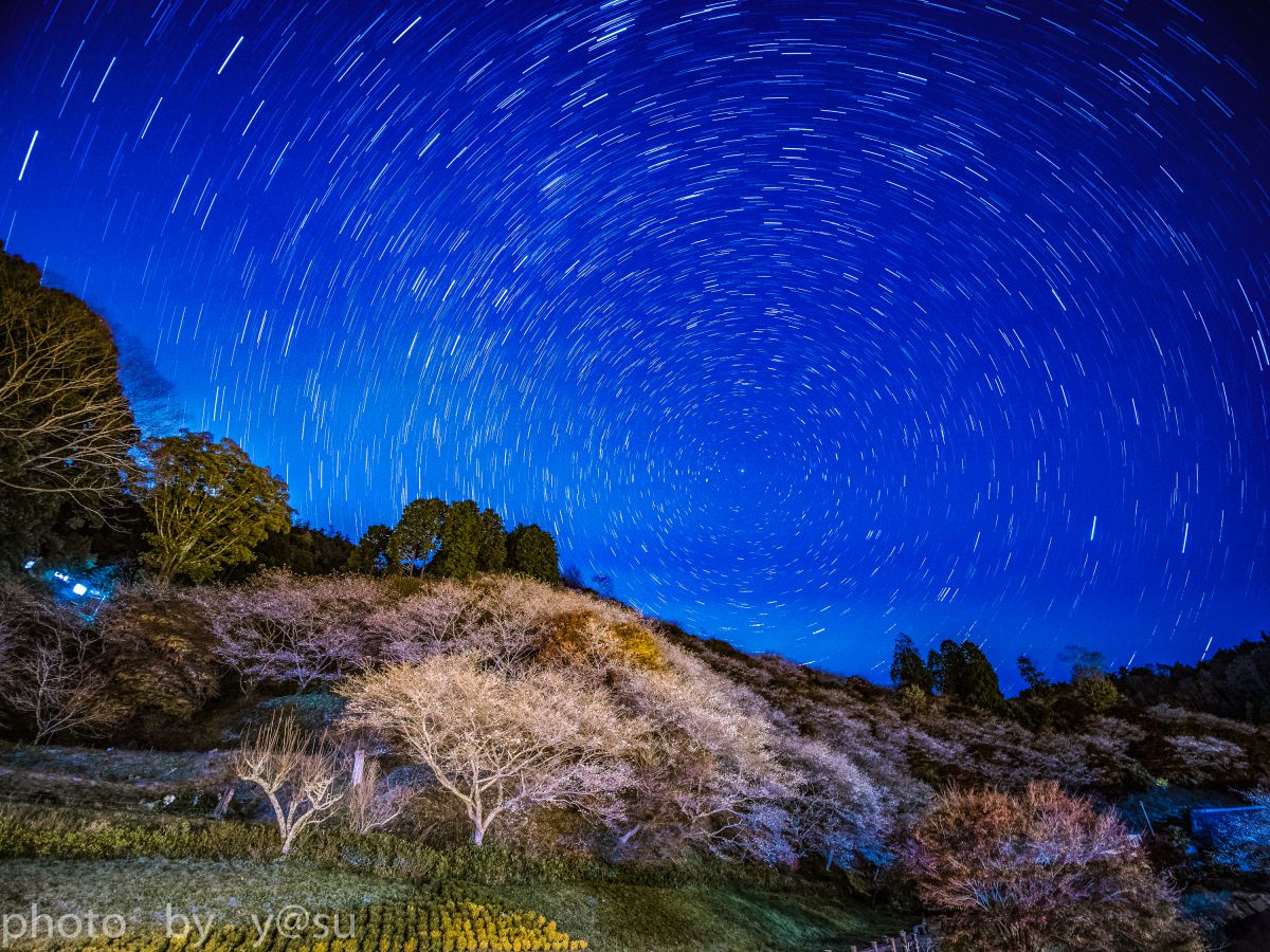 7.5mm F2 MFTで撮影された写真 | 写真検索 | GANREF