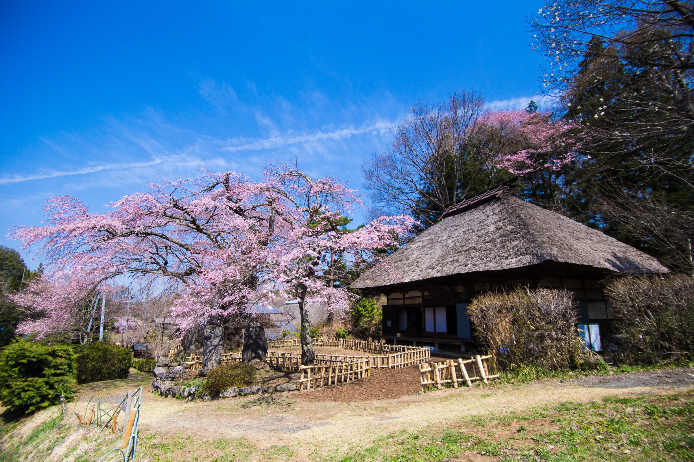 真作】掛軸里山の情景霧深き故郷の風景画自然と人の営み情景美Q51