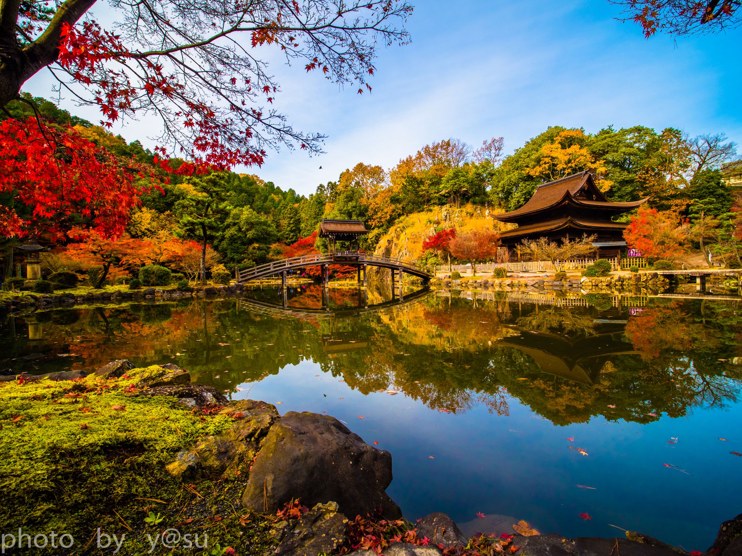 虎渓山永保寺の紅葉 | GANREF
