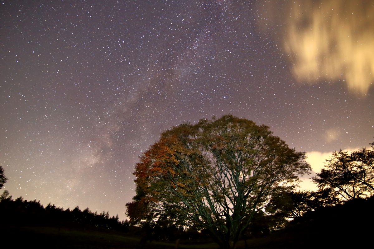 大峰高原七色大カエデと天の川 自然 風景 宇宙 天体 Ganref 大峰高原七色大カエデと天の川 自然 風景 宇宙 天体 Ganref