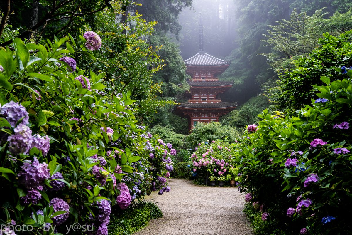 AT-X 24-70 F2.8 PRO FXで撮影された写真 | 写真検索 | GANREF