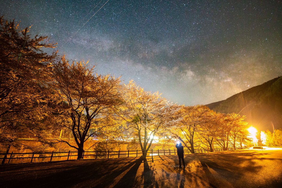 XP14mm F2.4で撮影された写真 | 写真検索 | GANREF