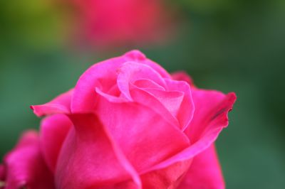 ぷうさんのポートフォリオ Ganref