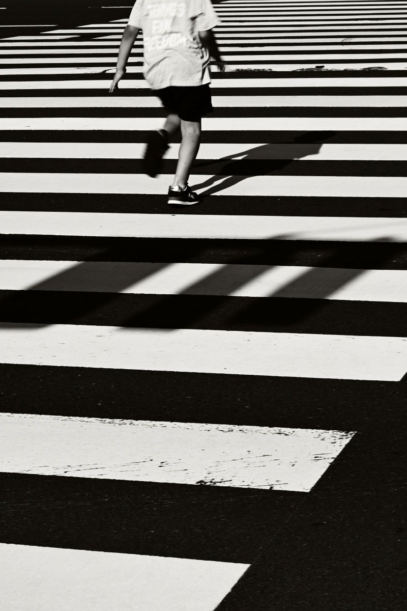 ゼブラゾーン GANREF