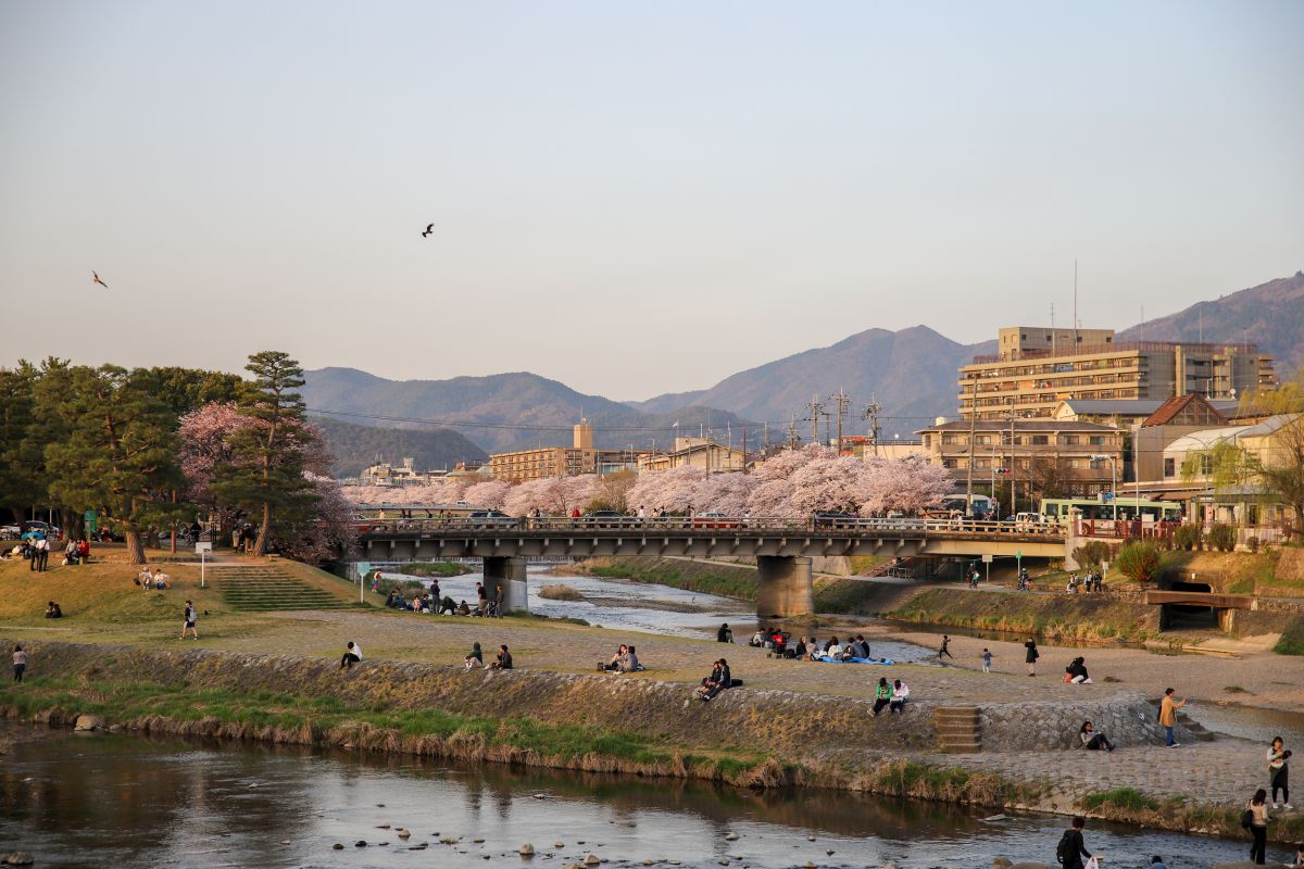 春の鴨川デルタの夕暮れ 街並み 建物 公園 Ganref