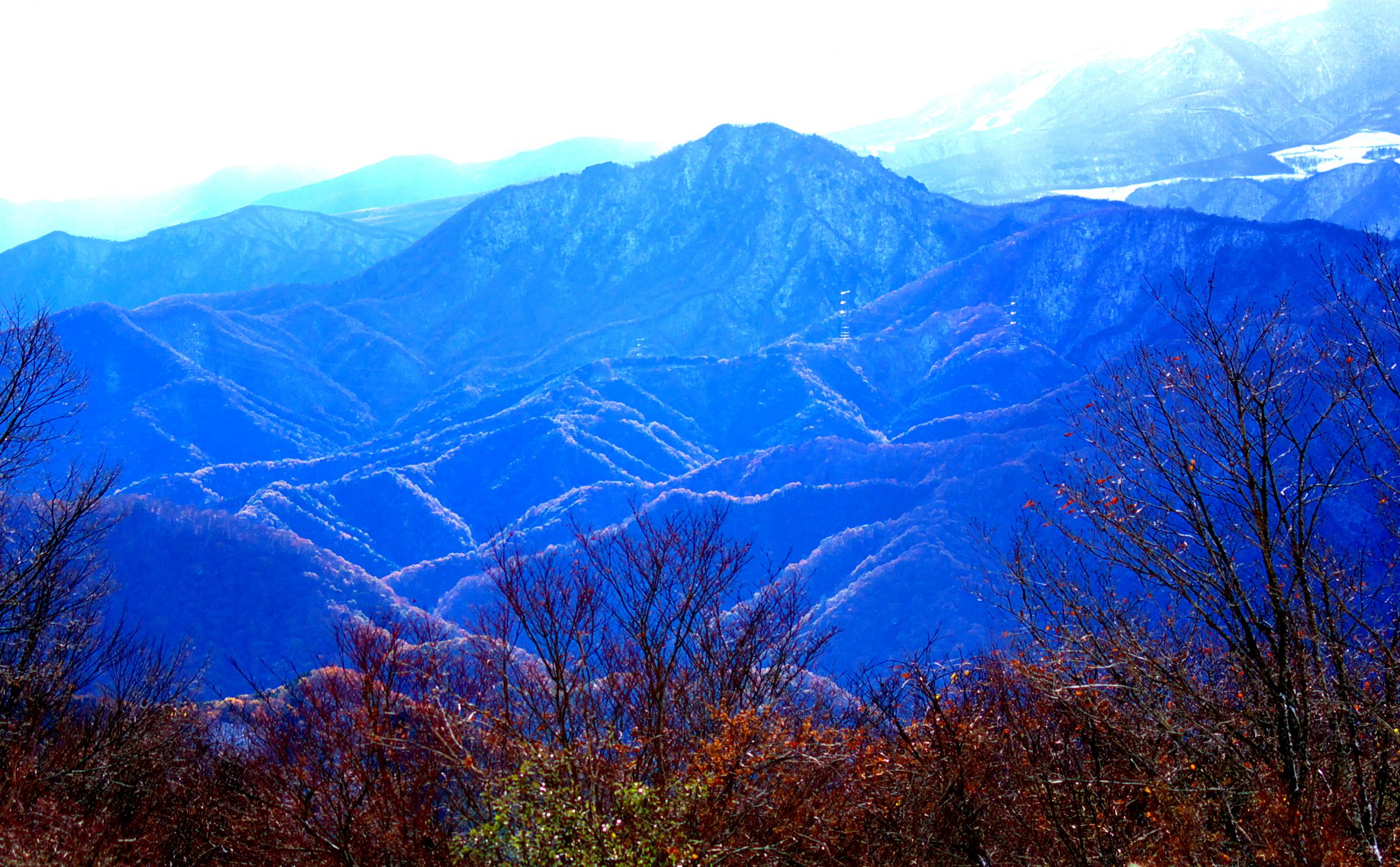 ブルーマウンテン | GANREF