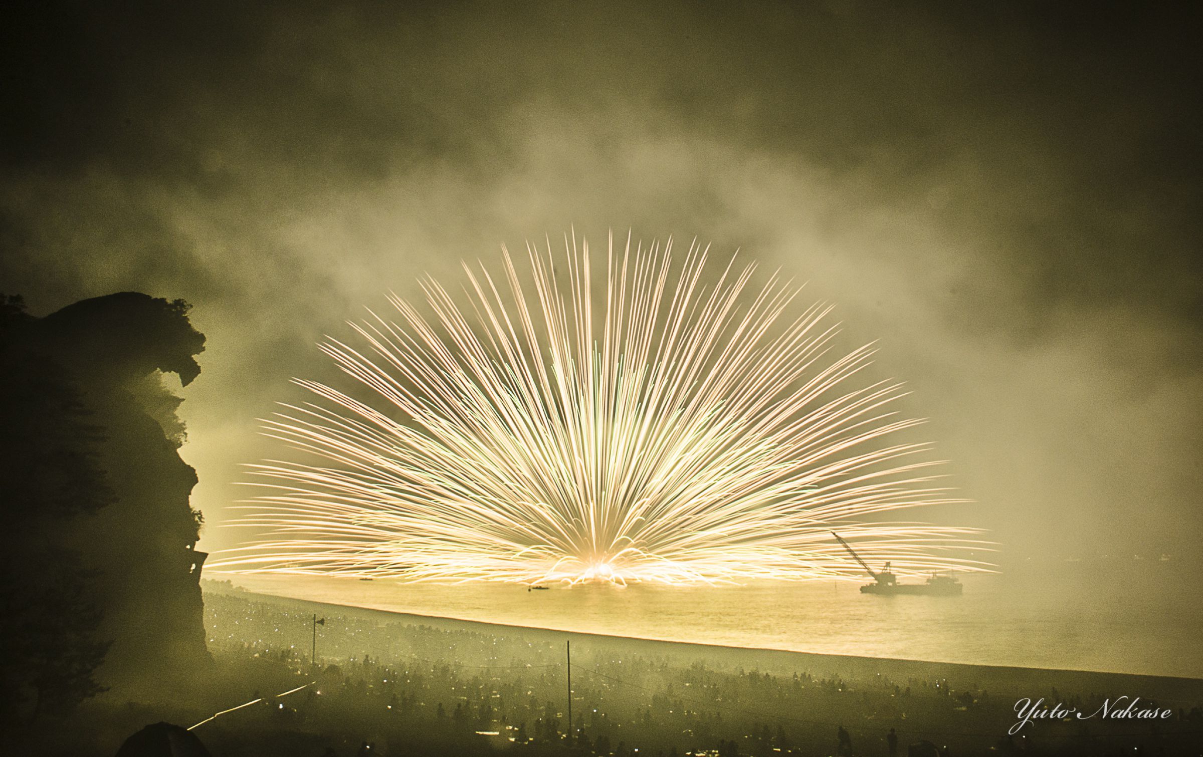 ✱*✱様 ❤️開花株❤️897Ash【ATLAS】超巨大充実❤️超大株❤️根パン 2026年、こんにちは。いつも一緒にいてくれてありがとうございます。🎄🎉