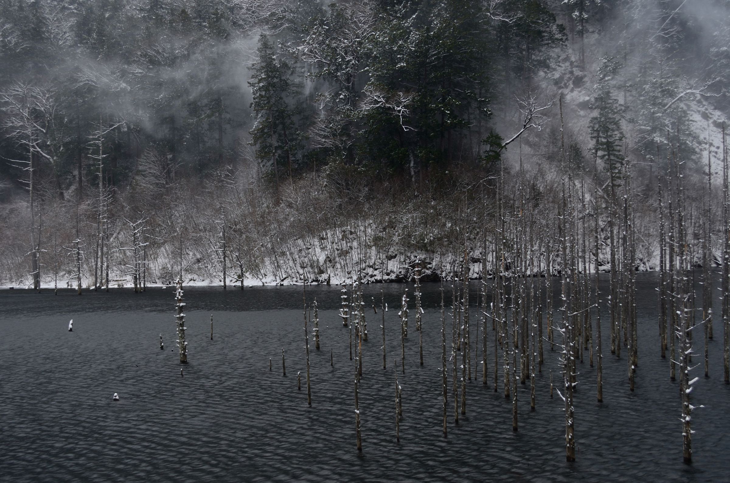 白黒の湖 | GANREF