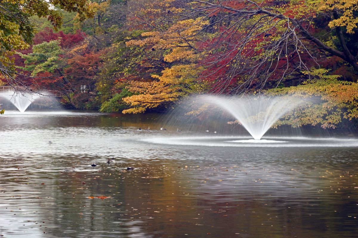 AF ZOOM 28-85mm F3.5-4.5で撮影された写真 | 写真検索 | GANREF