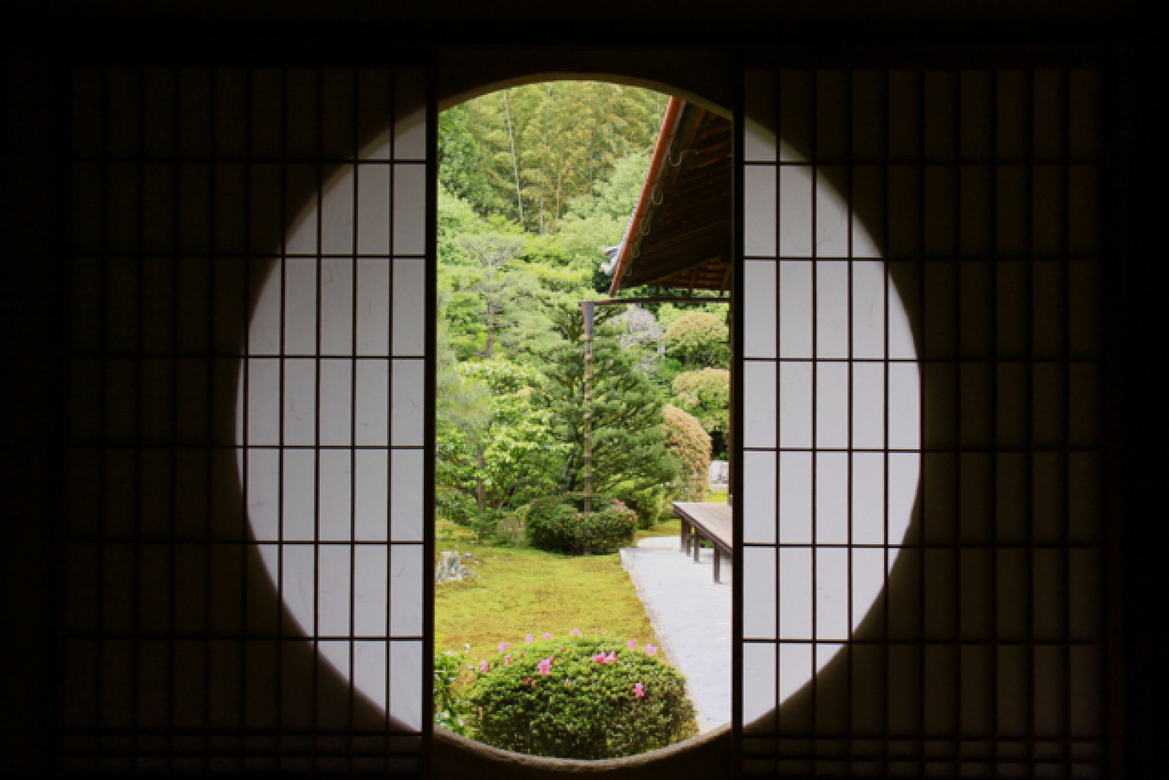 White Shelf / 丸窓 String Furniture - String Metal Shelf with High Edge - 22.8