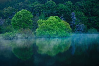 日本の夏・厳選風景16年【 風景写真 7-8月号　2007〜2022年】16冊 風景写真2025年7・8月号 | 本の情報 | ブティック社