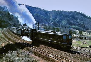 鉄道プレート 両面 アルプス/たてしな 鉄道 愛称板 プレート アルプス／たてしな