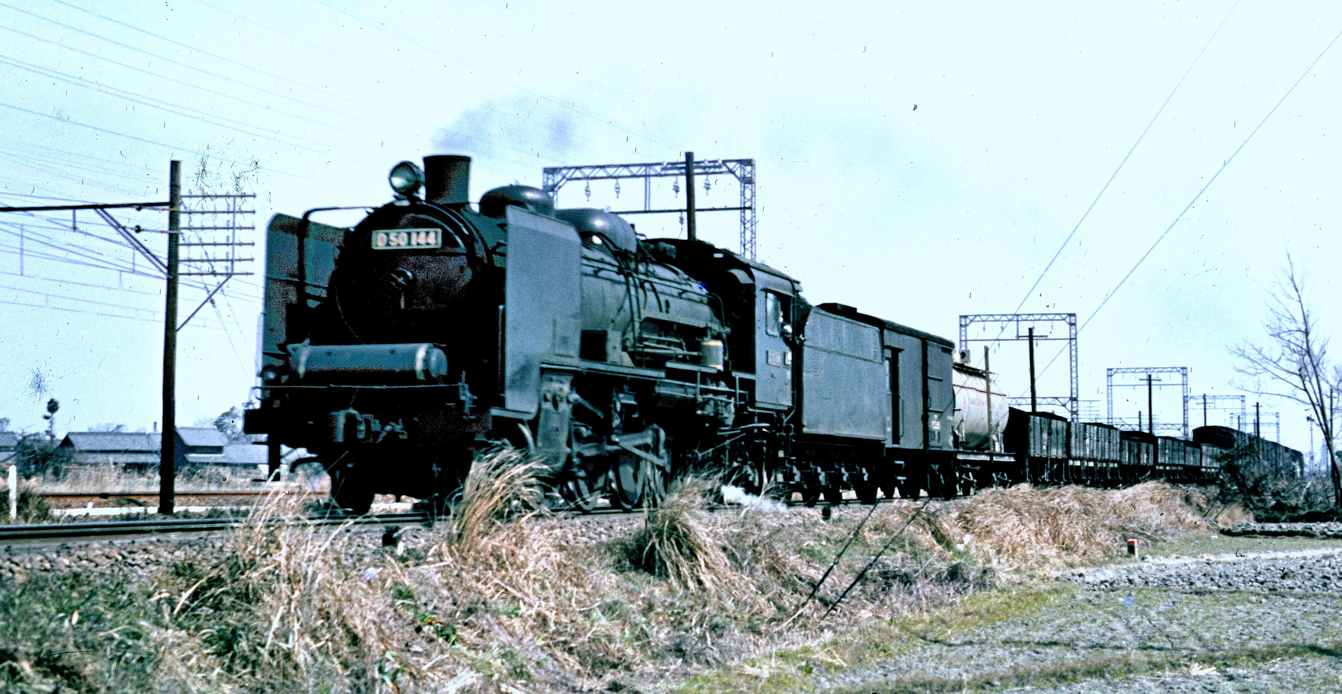 関西本線八田駅付近を行く「D50形蒸機」牽引の貨物列車 | GANREF