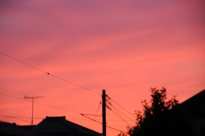 黒鳥作 夕暮れ 夕暮れ (本文のスペース) を飛んでいる鳥の写真素材・画像素材