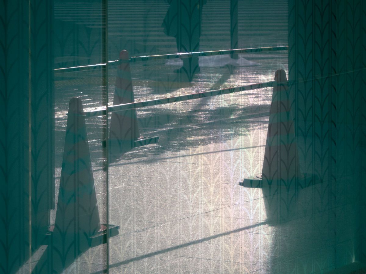 reflection | GANREF