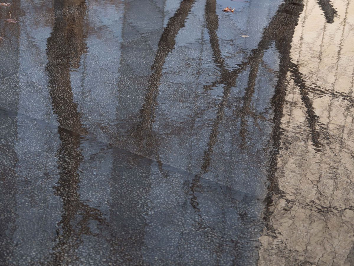 reflection | GANREF