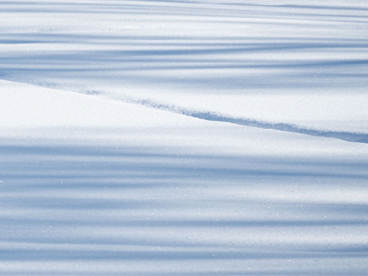 winter lines | GANREF