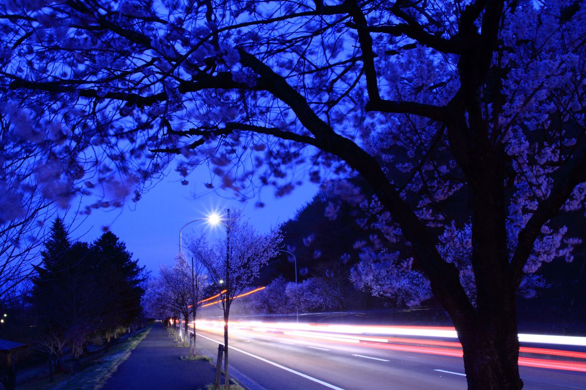 ✨極美品✨キャノン EF 17-35mm F2.8L USM❤️風景撮影の相棒！ ✨極美