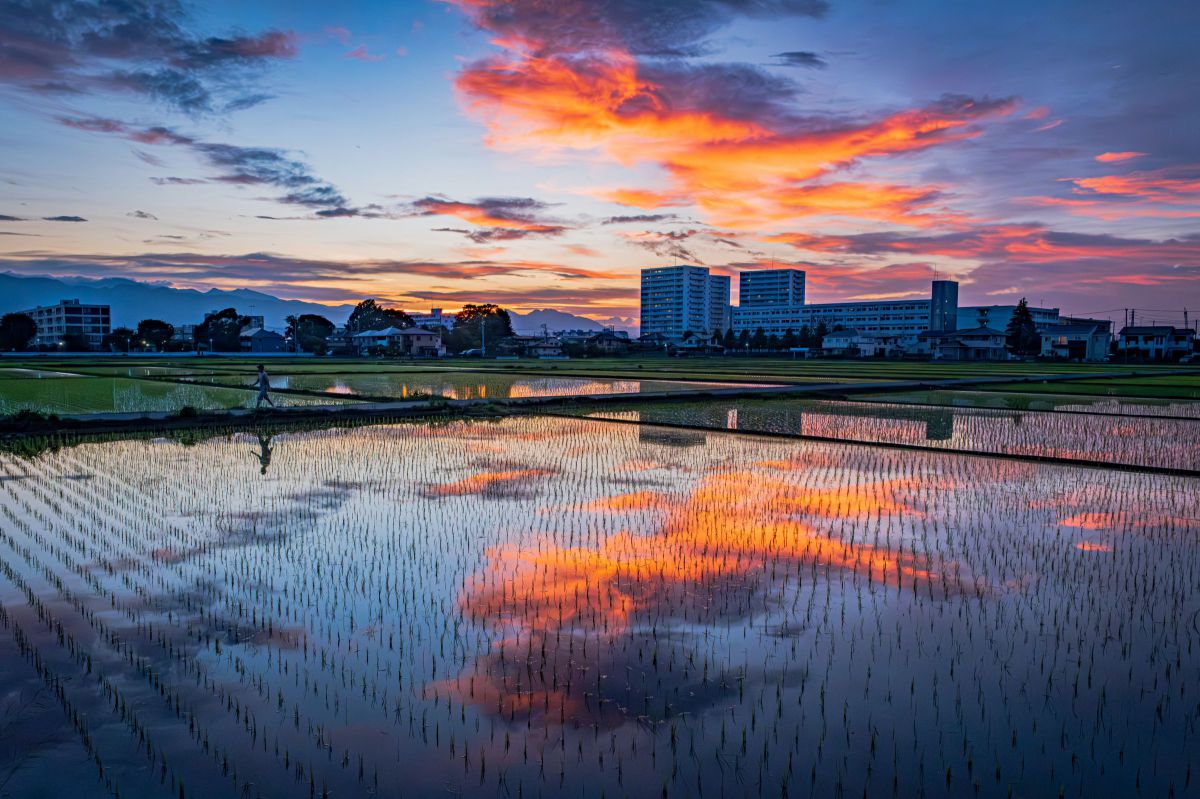 XF16-55mmF2.8 R LM WR IIで撮影された写真 | 写真検索 | GANREF