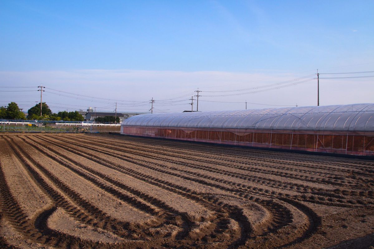 ダイナミック GANREF